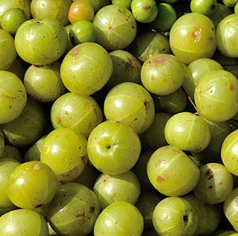 Amla