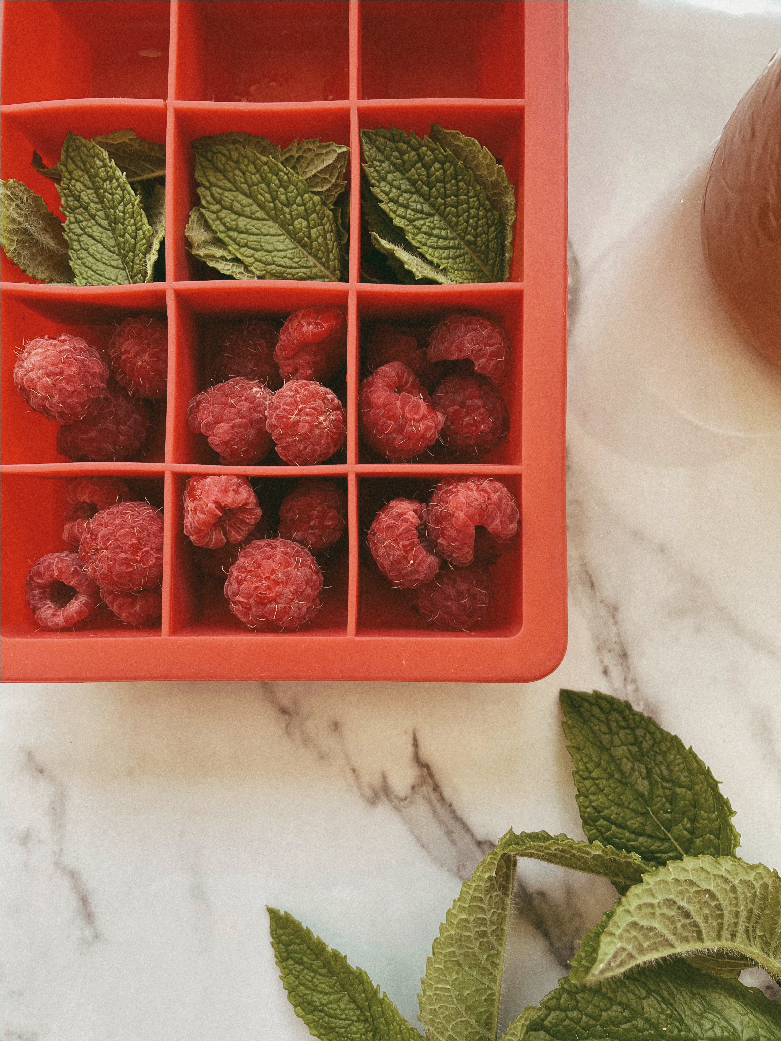 Fresh & Fruity Ice Cubes