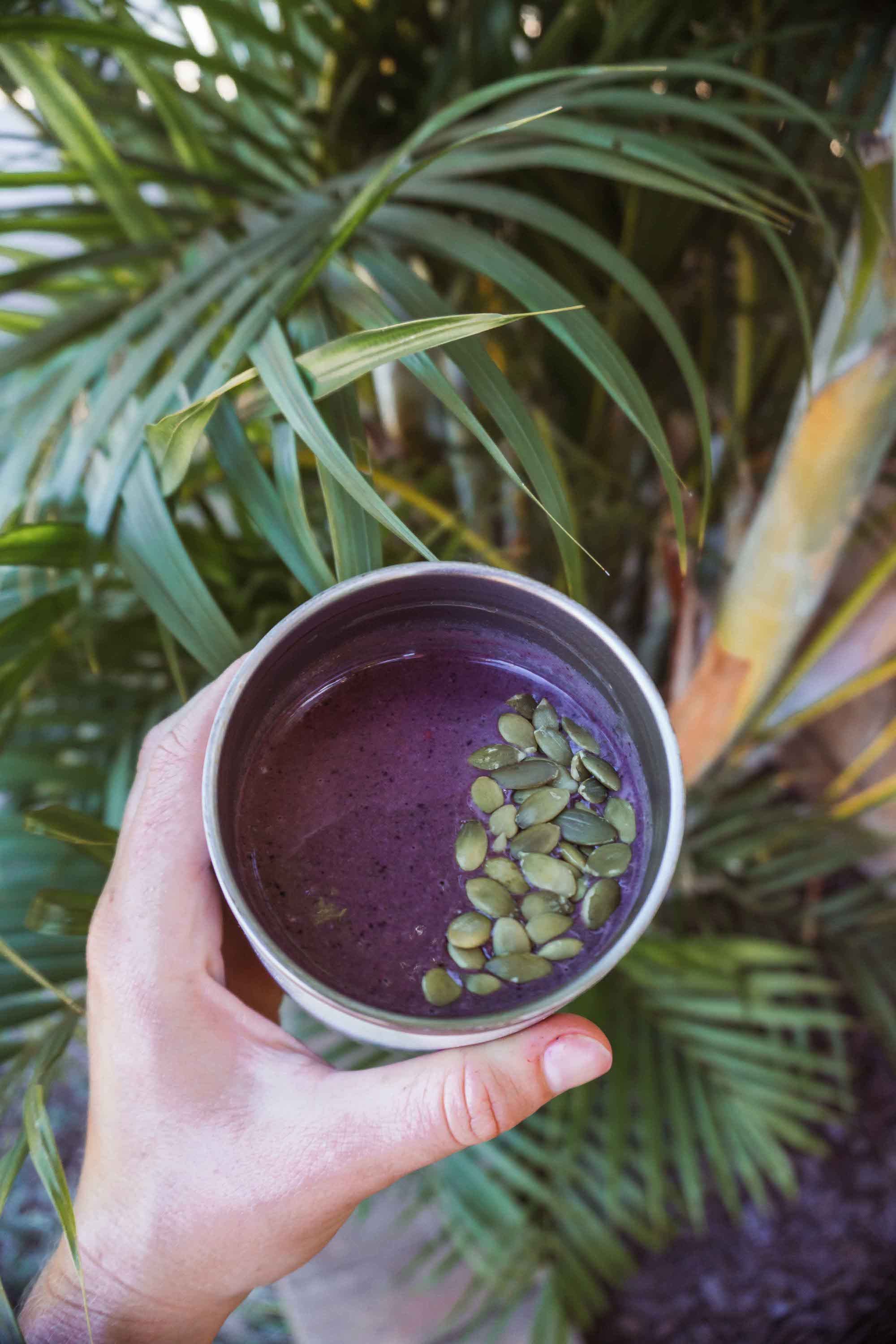 Nutrient-Packed Chocolate Berry Smoothie